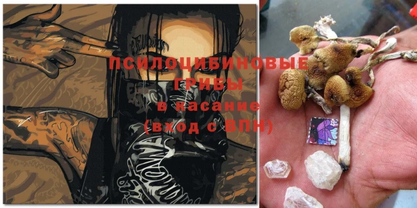 меф Алзамай