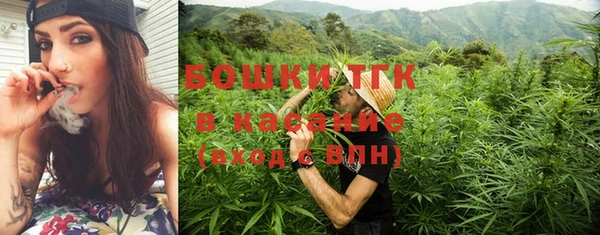 PSILOCYBIN Алексеевка