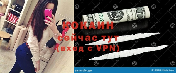 шишки Алексин