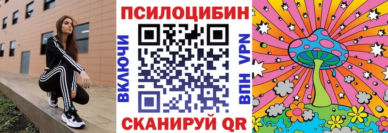 Псилоцибиновые грибы GOLDEN TEACHER  купить  цена  darknet как зайти  Бикин 