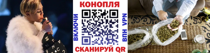 Канабис сатива  гидра   Бикин 